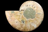 Cut & Polished Ammonite Fossil (Half) - Crystal Pockets #162151-1